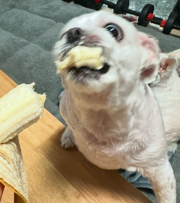 1fce5f79724280b744b2ac864f5005c5_1758597457_3717.png