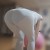 팬티라인